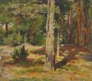 Pines zomer Landschap 1867