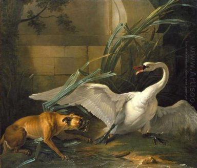 Cisne atacado por un perro