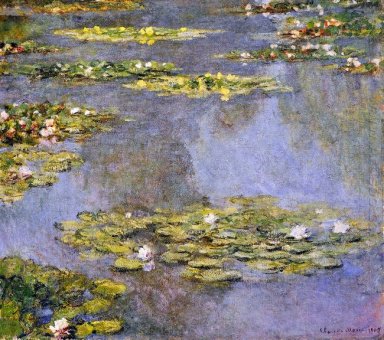 Water Lilies 8