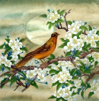 Pear & pássaros - pintura chinesa