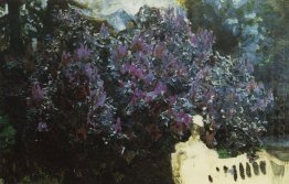 Lilacs 1901