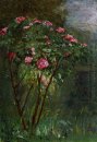 Rose Bush in den Blumen-