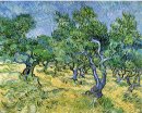 Olive Grove 1889