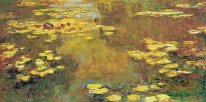 Water Lilies 45