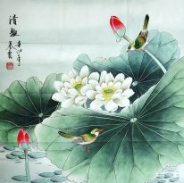 Lotus & Birds - Pittura cinese