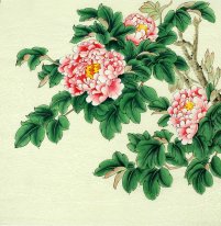 Peony - Chinese Painting