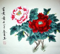 Peony - Chinese Painting