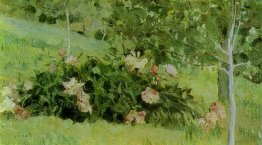 Peonies 1908