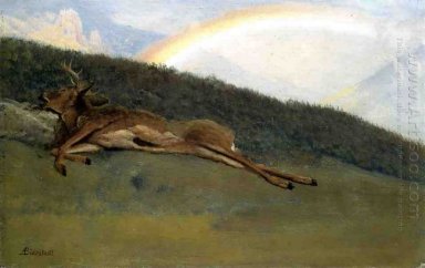 arco iris sobre un ciervo caído