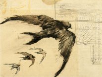 Four Swifts With Landscape Sketches 1887