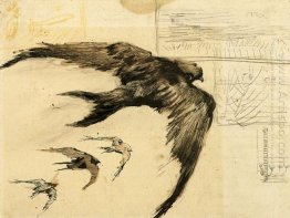 Four Swifts With Landscape Sketches 1887