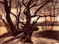 Study Of A Tree 1882