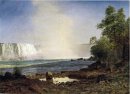 niagara fallen