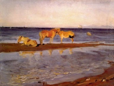 Pferde auf einer Shore 1905