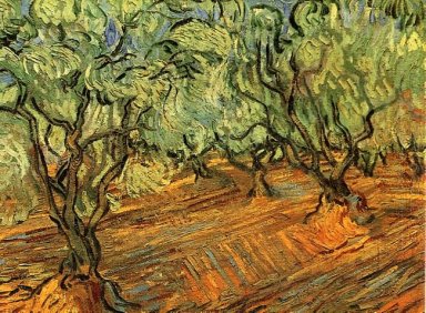 Olive Grove ciel bleu lumineux 1889 1