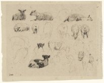 Studies of Sheep