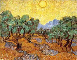 Olive Trees With Yellow Sky And Sun