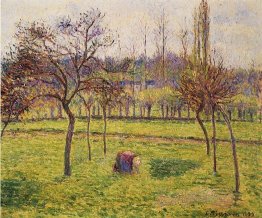 apple trees in a field 1892