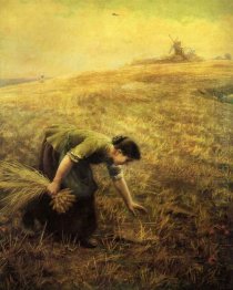 Gleaning