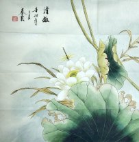 Lotus - Chinese Painting