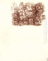 Birch Copse