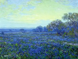 Field of Bluebonnets under Cloudy Sky