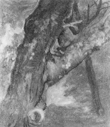 study of a tree 1864