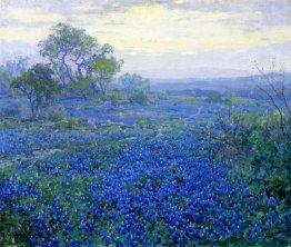 A Cloudy Day, Bluebonnets near San Antonio, Texas