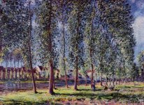 lane of poplars at moret 1888