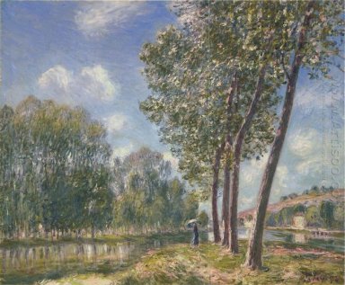 sol de primavera en la loing 1892