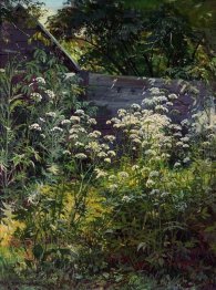 Corner Of Overgrown Garden Goutweed Grass 1884