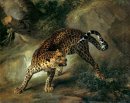 Leopardo