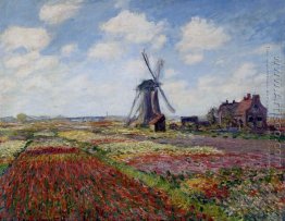 Tulip Fields With The Rijnsburg Windmill