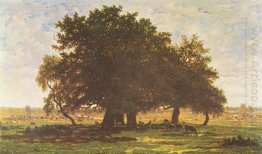 Holm Oaks Apremont 1852