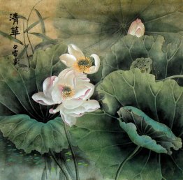 Lotus - Chinese Painting