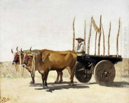 Carro de bois