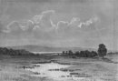 Swamp 1884
