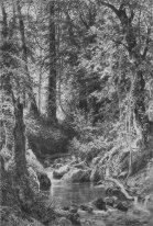 Forest Stream 1880