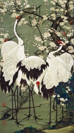 Plum Blossoms and Cranes