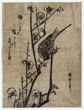 Plum Blossom Och Bush Warbler 1838