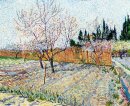 Orchard With Peach Trees In Blossom 1888
