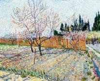 Orchard Med Peach Trees I Blossom 1888