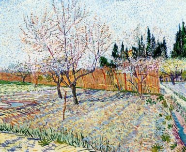 Orchard Med Peach Trees I Blossom 1888