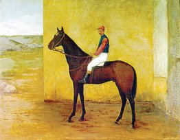 Jockey and horse