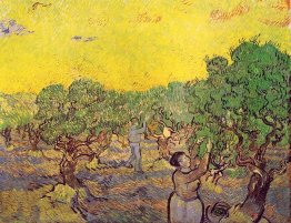 Olive Grove With Picking Figures 1889