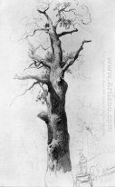 The Trunk Of An Old Oak 1869