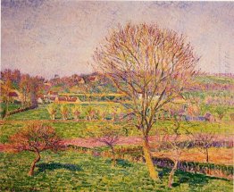 big walnut tree at eragny 1892