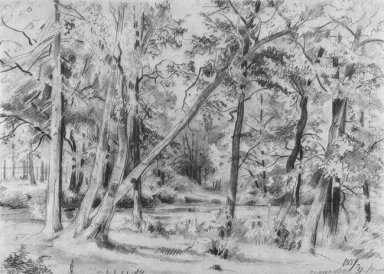 Bosque 1869