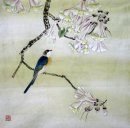 Aves - pintura china