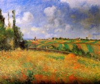 fields 1877